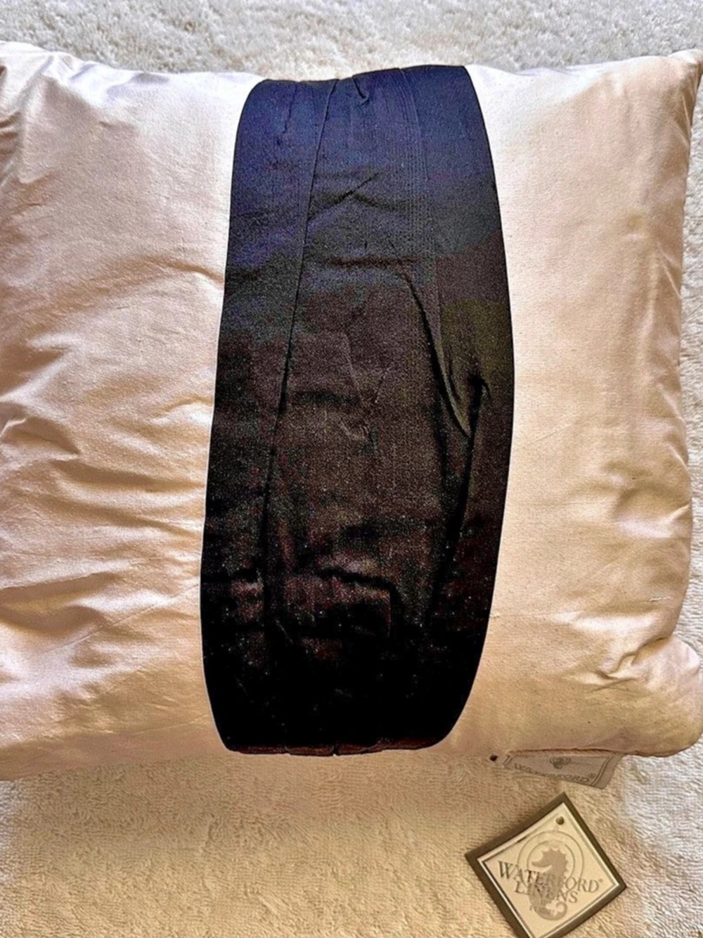 Waterford Color Block Decorative Silk Pillow in Pink & Black NWT